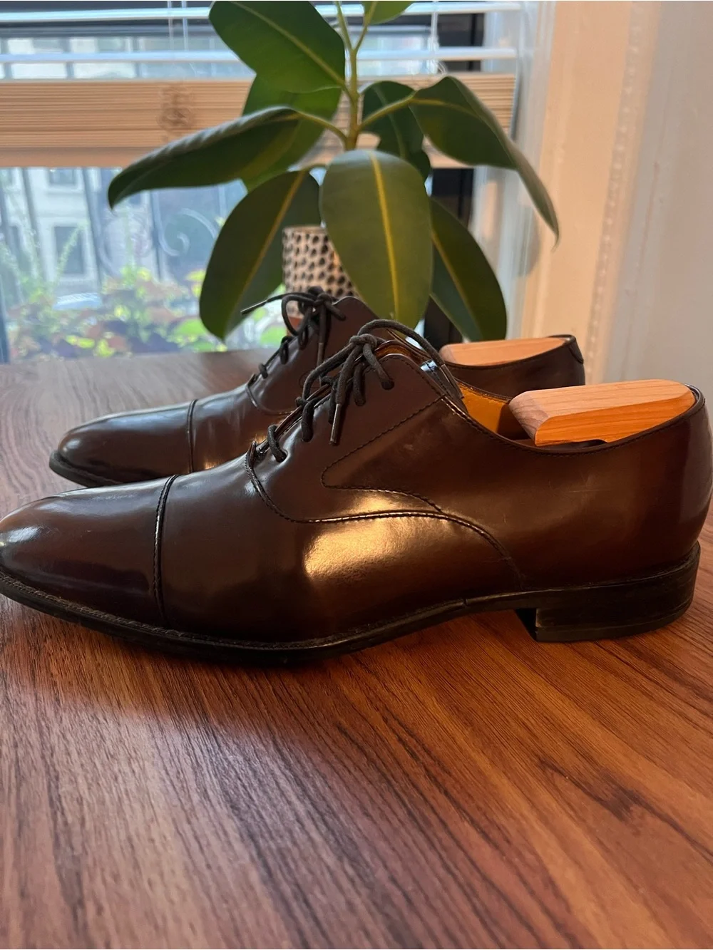 Cole Haan Men's Cap-Toe Oxford Dress Shoes - Brown